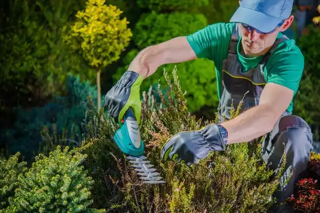 landscaping services Dix Hills